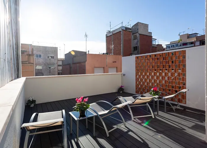 8 Lacus Duplex